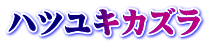 ハツユキカズラ