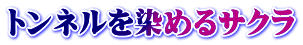 トンネルを染めるサクラ