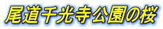 尾道千光寺公園の桜