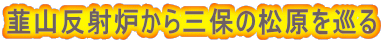 韮山反射炉から三保の松原を巡る