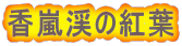 香嵐渓の紅葉