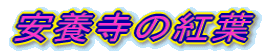 安養寺の紅葉