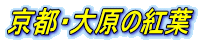 京都・大原の紅葉