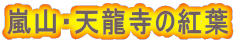 嵐山・天龍寺の紅葉