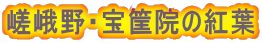 嵯峨野・宝筐院の紅葉