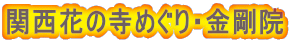 関西花の寺めぐり・金剛院