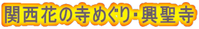 関西花の寺めぐり・興聖寺