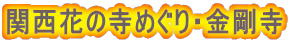 関西花の寺めぐり・金剛寺